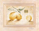 LIMONE Claudia  Ancilotti