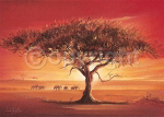 NAMIB Leon  Wells