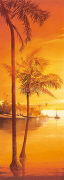 CABO SAN LUCAS Leon  Wells