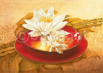 GLOSSY BOWL Gerard  Beauvoir