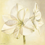 BRIGHT GLAMOUR Vivien  White