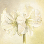 BRIGHT ELEGANCE Vivien  White