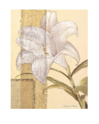 LILLIES Vivien  White