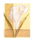 CALLAS Vivien  White