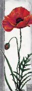 MRS. PARRY Nina  Konig