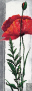 QUEEN OF POPPY Nina  Konig