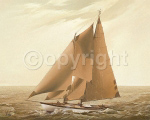 ON THE HIGH SEAS William  Wilde