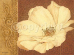 MOROCCAN FLOWER HEAD Anne  Searle