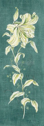 TEAL LILY Clare  Lake
