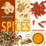 SPICE COLLAGE Ute  Nuhn