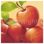 EVE'S APPLE Susanne  Bach