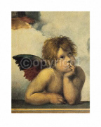 CHERUBINO I Raffaello  Santi