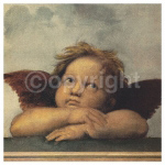 CHERUBINO II Raffaello  Santi