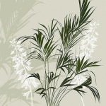 FERN SILHOUETTE Kate  Knight