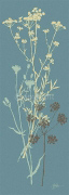 TEAL MEADOW FLOWER Alan  Johnstone