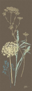 CHOCOLATE MEADOW GRASS Alan  Johnstone