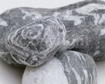 GREY PEBBLE Mick  Bird