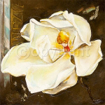 EXTRAORDINAIRE Elizabeth  Espin