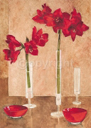 BOWLS WITH AMARYLLIS Ina  van Toor
