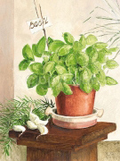 BASIL IN A CLAY POT Ina  van Toor