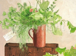 HERBS IN A CAN Ina  van Toor