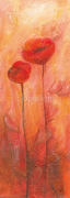TULIPA MONTANA II Dagmar  Zupan