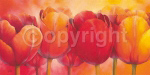 FAVOURITE COMPANY Alicia  Sloan