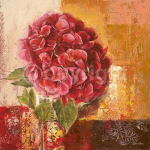 CHARMING HYDRANGEA Gabor  Barthez