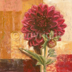 DELIGHTFUL DAHLIA Gabor  Barthez