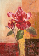 CHARMING ROSE Gabor  Barthez
