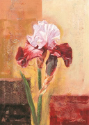 BEAUTIFUL IRIS Gabor  Barthez