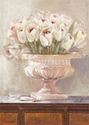 GORGEOUS TULIPS Scott  Norman