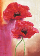 RED GLOW POPPY Gilles  Legris