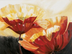 The three poppies Beatrix  Frederiks