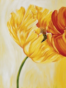 Dancing Tulips I Beatrix  Frederiks