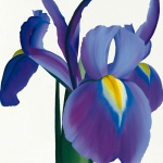 IRIS Stephanie  Andrew