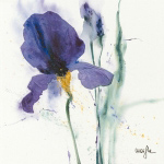 IRIS I   Marthe