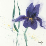 IRIS II   Marthe