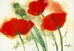 COQUELICOTS AU VENT I   Marthe