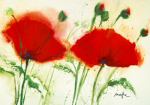 COQUELICOTS AU VENT II   Marthe
