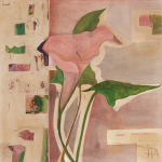 BLUTENANATOMIE: CALLA Rose  Richter-Armgart