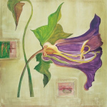 BLUTENANATOMIE: AMARYLLIS Rose  Richter-Armgart