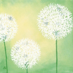 PUSTEBLUMEN II Sabine  Mannheims