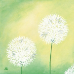 PUSTEBLUMEN III Sabine  Mannheims