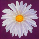 DAISY 9/3 Claire  Davies