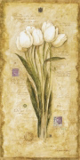 BIAŁE TULIPANY VII Herve  Libaud