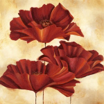 THREE POPPIES I Nicola  Rabbett