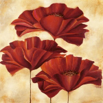 THREE POPPIES II Nicola  Rabbett