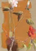 GRAND HIBISCUS A VOIE OCRE C.  Bernarduchene