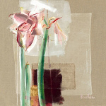 AMARYLLIS JAPONISANT C.  Bernarduchene